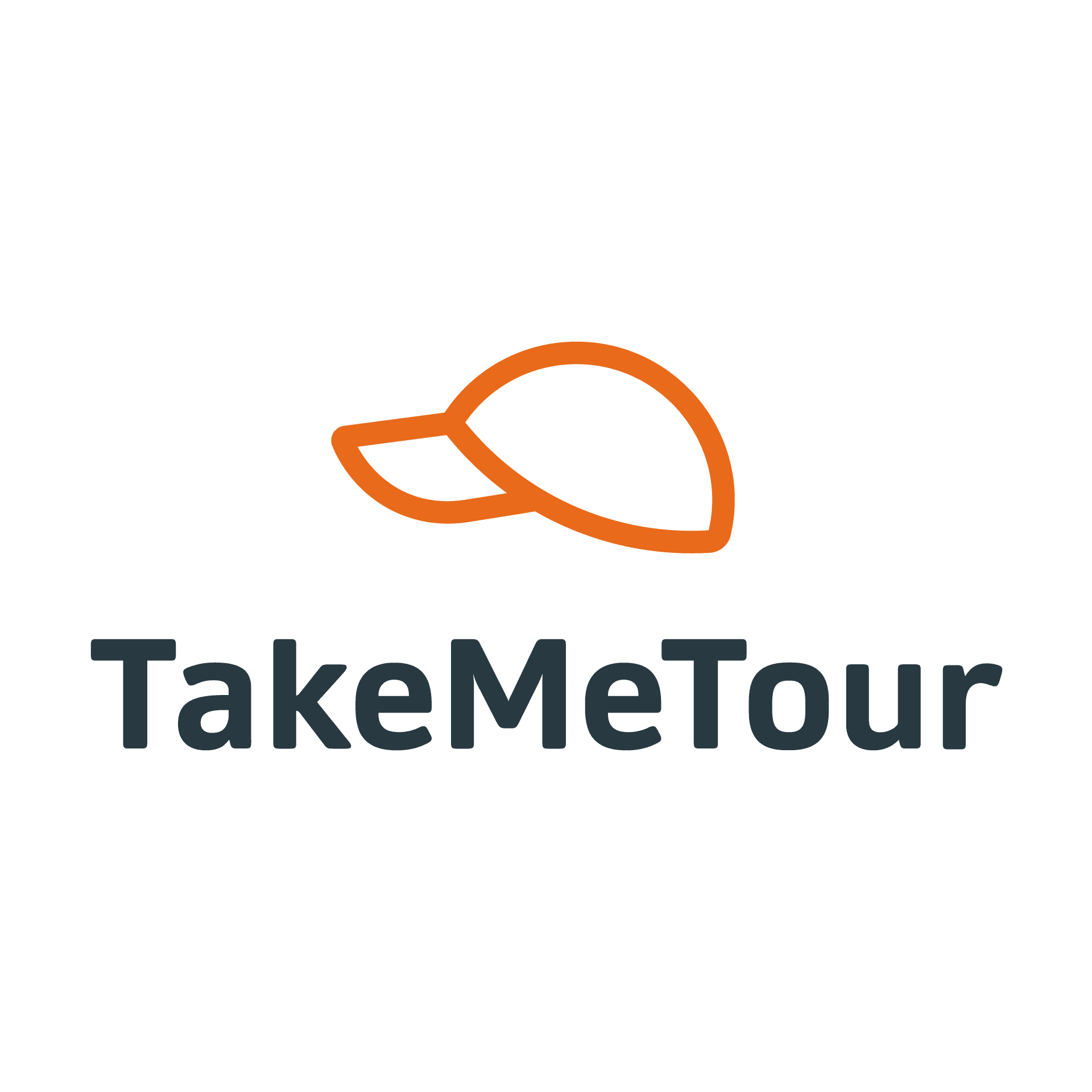 Take Me Tour